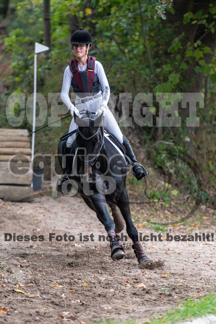 Goldene Schärpe 2020 - Pferde