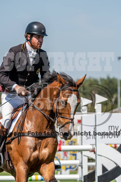 Kronenberg - De Peelbergen (August 2020)