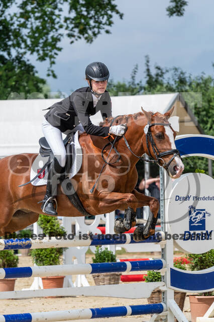 Goldene Schärpe 2021 - Ponys