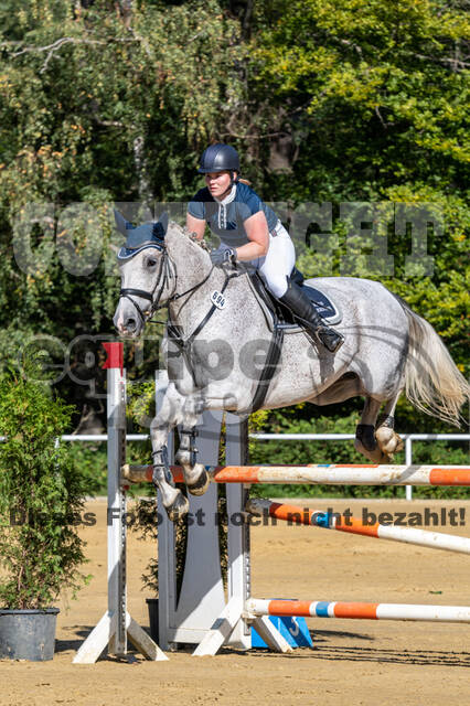 RFV Dinslaken-Hiesfeld (Herbstturnier)