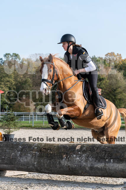 IGV Lehrgang der Sieger der Cups mit Frank Ostholt