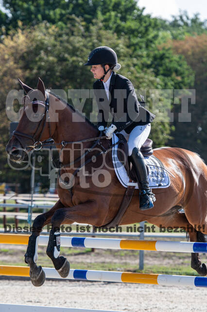 Landesturnier Rheinland, Vielseitigkeit, 22.+23.08.2020