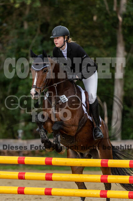 Vielseitigkeit RSV Wesel Obrighoven (26.+27.09.2020)