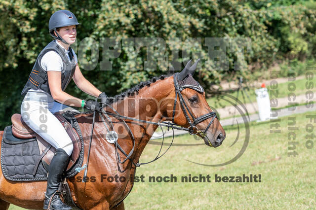 Late-Entry-Vielseitigkeit Langenfeld (11.+13./14.06.2020)