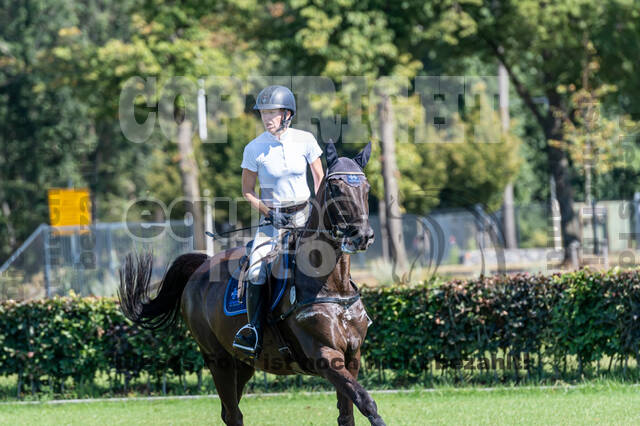 Kronenberg - De Peelbergen (August 2020)