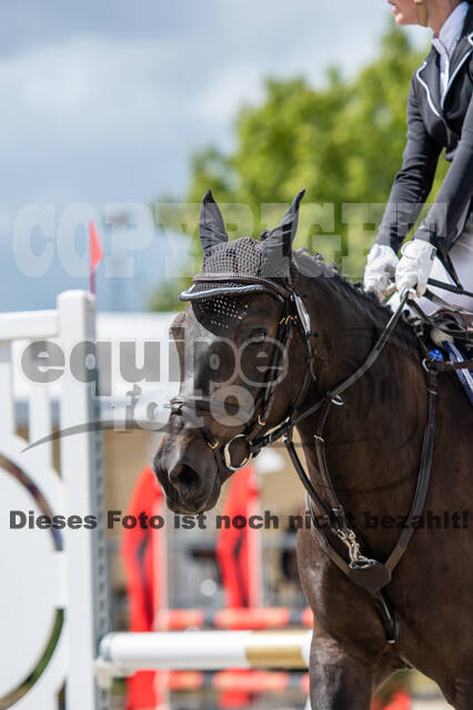 Landesturnier Rheinland, Vielseitigkeit, 22.+23.08.2020