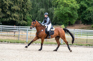 Late-Entry-Vielseitigkeit Langenfeld (11.+13./14.06.2020)