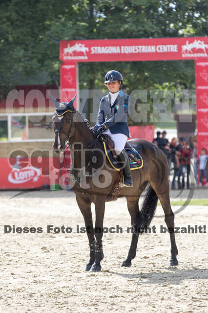 FEI European Championship