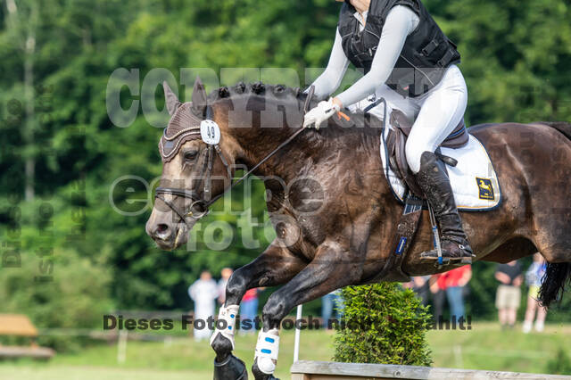 Goldene Schärpe 2021 - Ponys