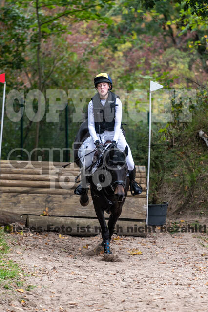 Goldene Schärpe 2020 - Pferde