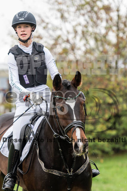 Goldene Schärpe 2020 - Pferde