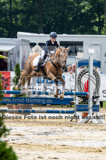 Goldene Schärpe 2021 - Ponys
