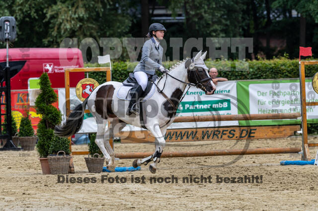 Goldene Schärpe 2021 - Ponys