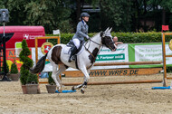 Goldene Schärpe 2021 - Ponys