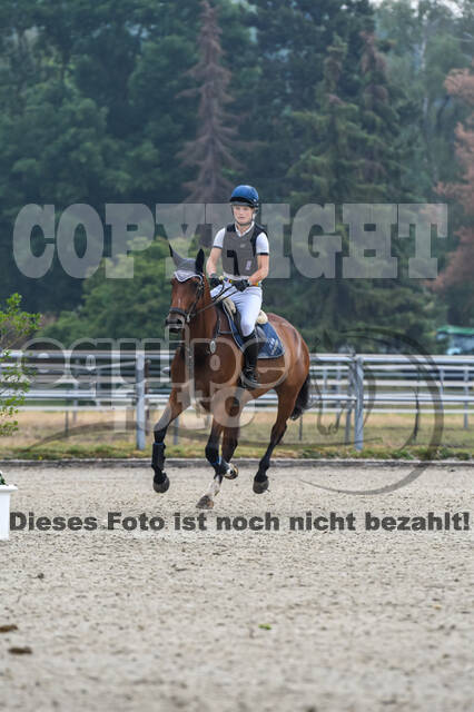 Late-Entry-Vielseitigkeit Langenfeld (11.+13./14.06.2020)