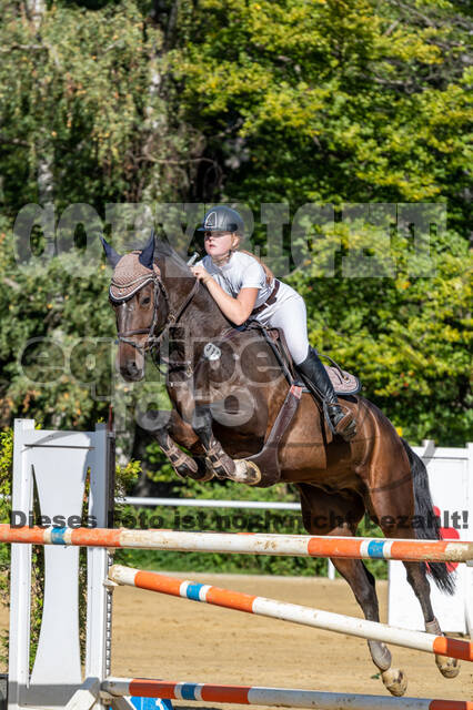 RFV Dinslaken-Hiesfeld (Herbstturnier)