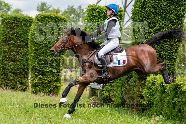 Westerstede Horse Trials 2021