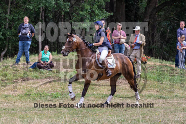 Late-Entry Vielseitigkeit Hamminkeln/Wesel (01.+02.08.2020)
