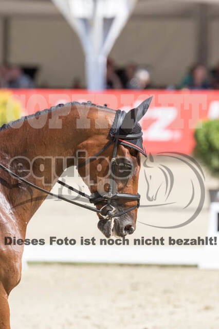 FEI European Championship Eventing 2017