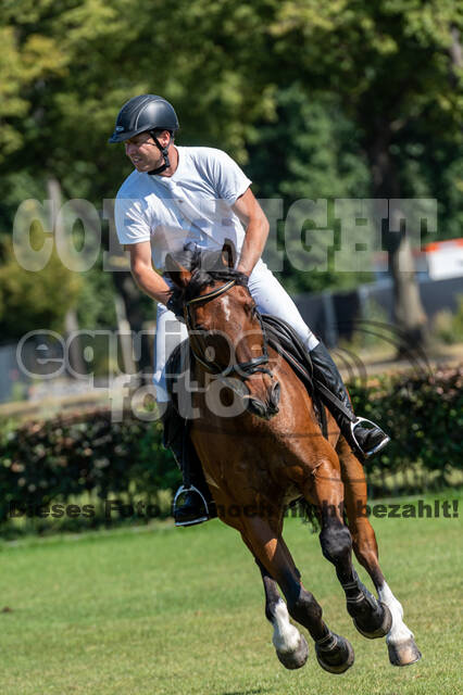 Kronenberg - De Peelbergen (August 2020)