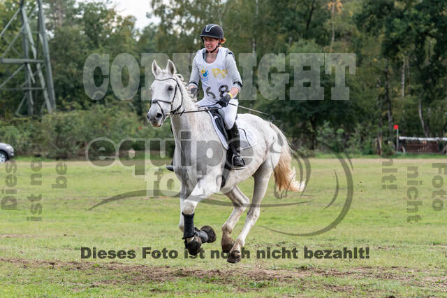 Vielseitigkeit RSV Wesel Obrighoven (26.+27.09.2020)