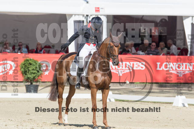 FEI European Championship Eventing 2017