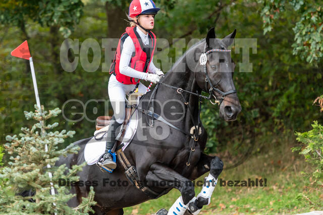 Goldene Schärpe 2020 - Pferde