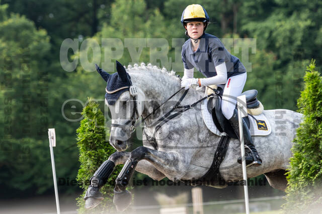 Goldene Schärpe 2021 - Ponys