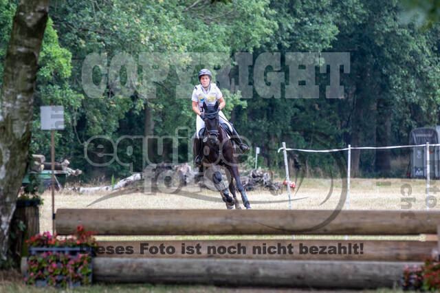 Late-Entry Vielseitigkeit Hamminkeln/Wesel (01.+02.08.2020)
