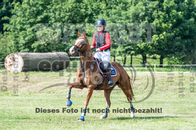 Goldene Schärpe 2021 - Ponys