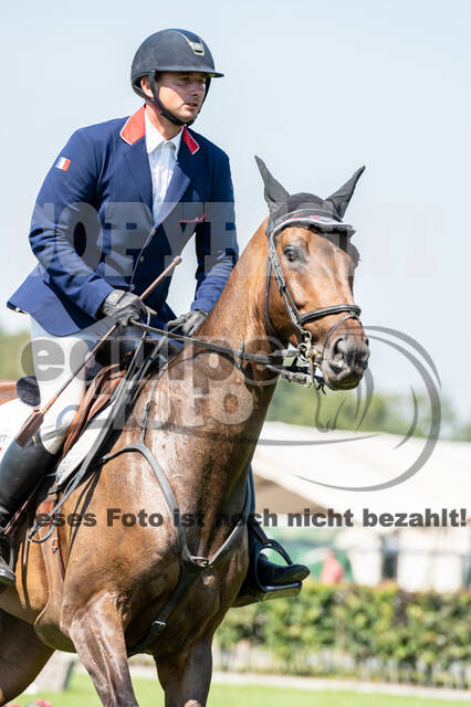 Kronenberg - De Peelbergen (August 2020)