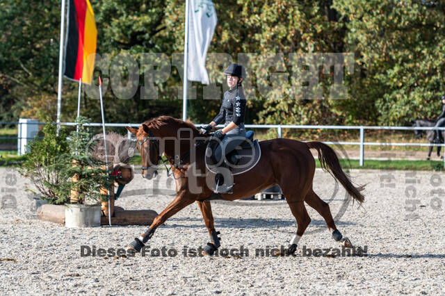 IGV Lehrgang der Sieger der Cups mit Frank Ostholt