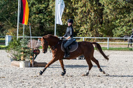IGV Lehrgang der Sieger der Cups mit Frank Ostholt