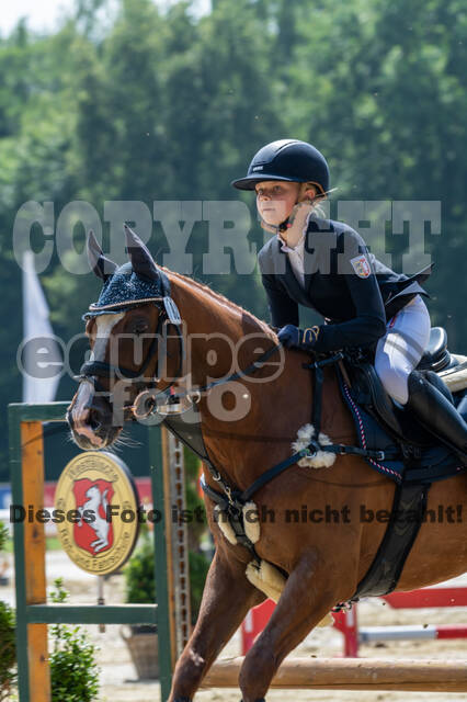 Goldene Schärpe 2021 - Ponys