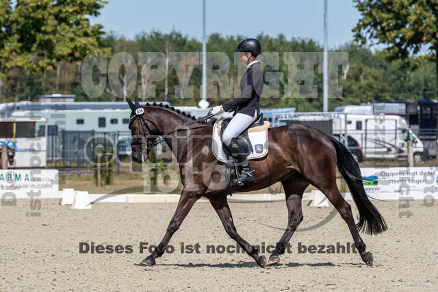 Kronenberg - De Peelbergen (August 2020)