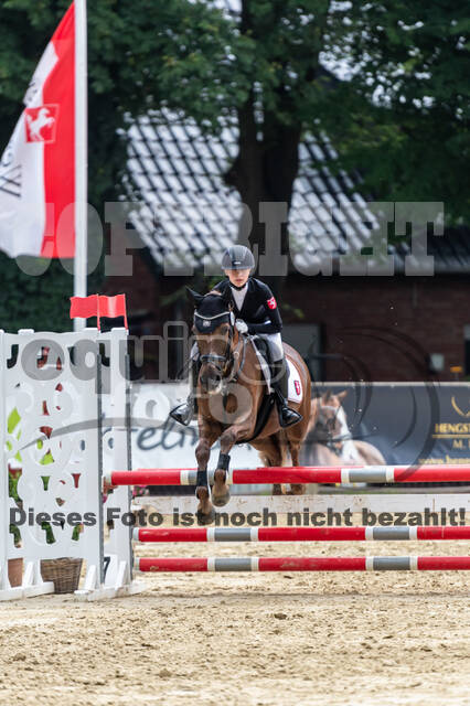 Goldene Schärpe 2021 - Ponys