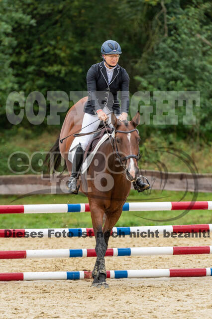 Vielseitigkeit RSV Wesel Obrighoven (26.+27.09.2020)