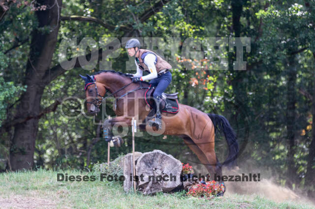Late-Entry Vielseitigkeit Hamminkeln/Wesel (01.+02.08.2020)