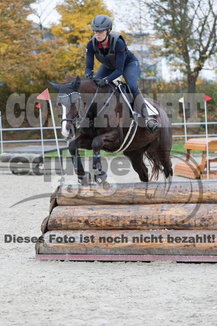 IGV Lehrgang der Sieger der Cups mit Frank Ostholt