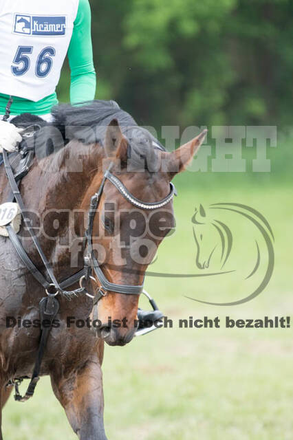 vielseitigkeitsturnier ZRFV von Lützow Hamminkeln