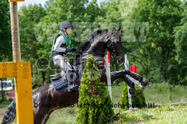 Westerstede Horse Trials (10.-13.06.2021)