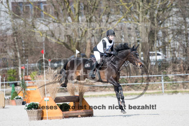 Eventing Langenfeld 2018