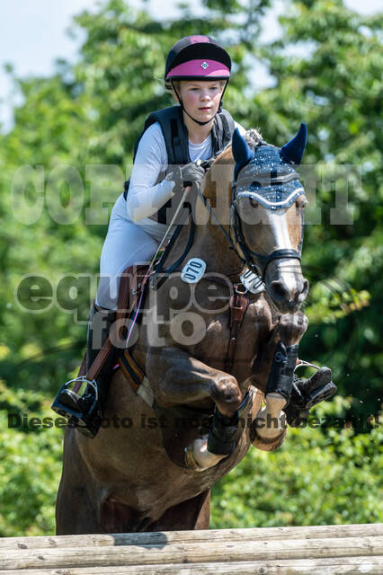 Goldene Schärpe 2021 - Ponys