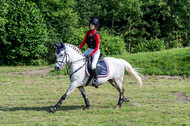 Goldene Schärpe 2021 - Ponys