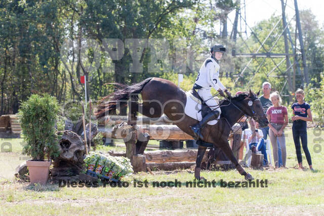 Vielseitigkeitsturnier RSV St. Hubertus Wesel Obrighoven