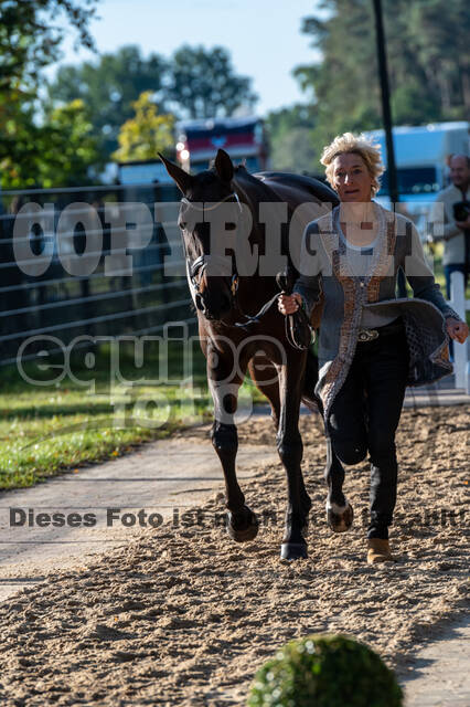 Deutsche Meisterschaft Vielseitigkeit (Luhmühlen)