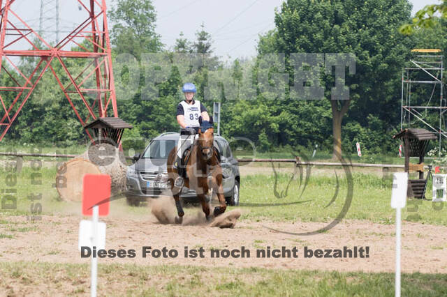 Vielseitigkeitsturnier ZRFV von Lützow Hamminkeln