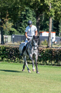 Kronenberg - De Peelbergen (August 2020)