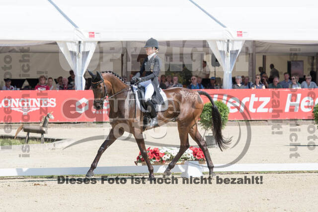 FEI European Championship Eventing 2017