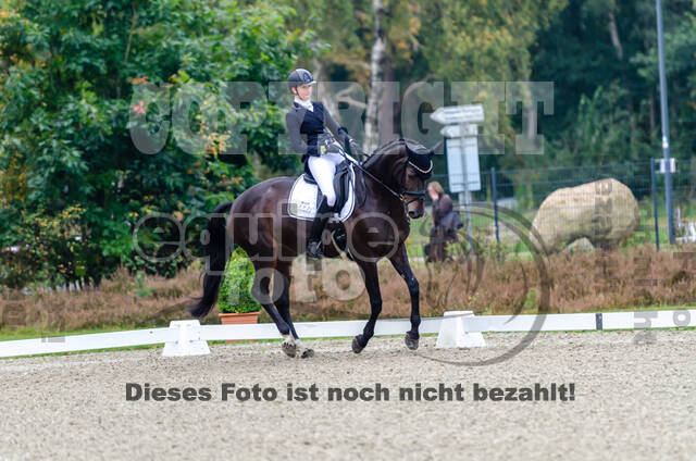 Deutsche Meisterschaft Vielseitigkeit (Luhmühlen)